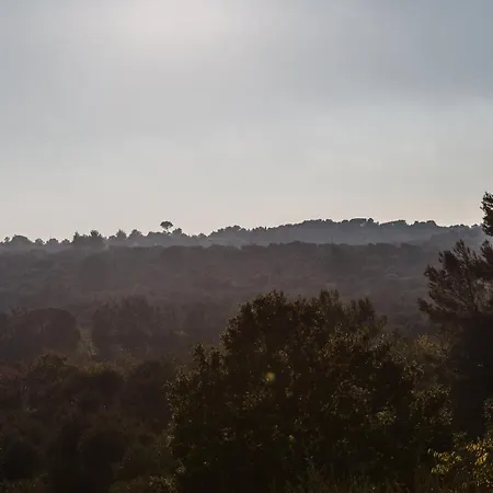 Si Fa Trullo オストゥーニ